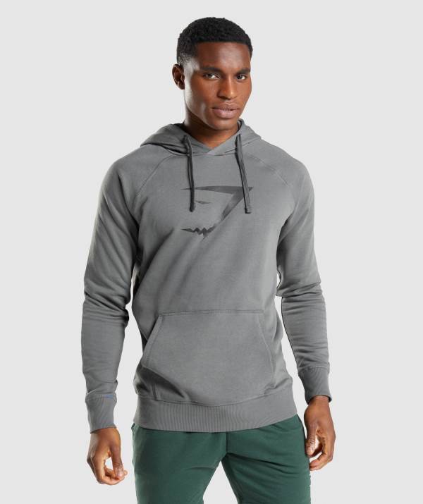 Panske Mikiny S Kapucňou Gymshark Sharkhead Infill Tmavo Siva | UP7689431